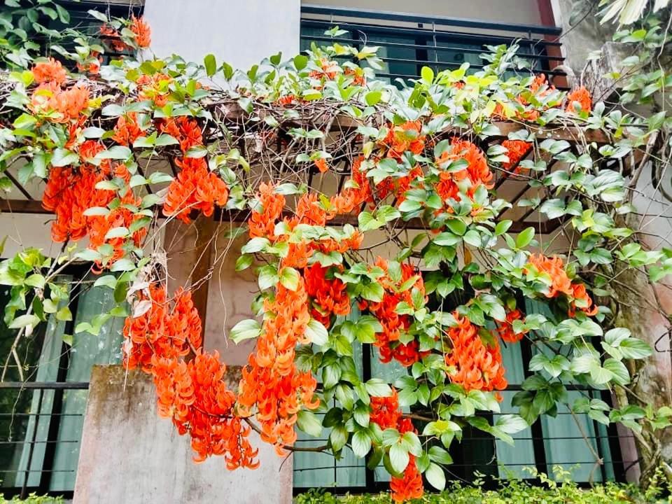 Wassana Sitdharma Guesthouse Trang Exterior foto